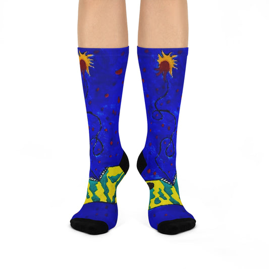 Echo13 No. 14 – Zin the Signal Eater Socks